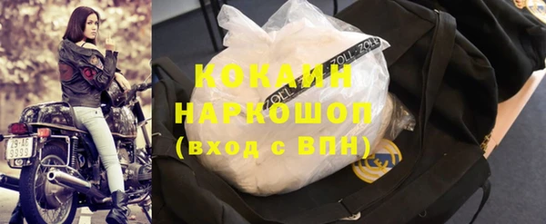 стаф Арсеньев