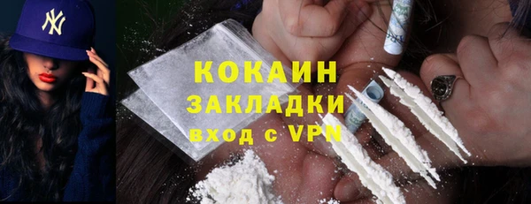 стаф Арсеньев