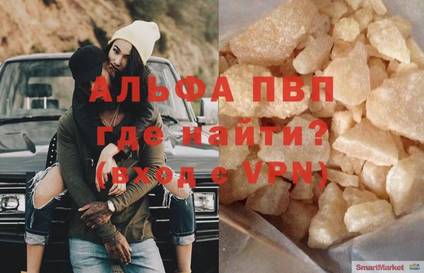 стаф Арсеньев