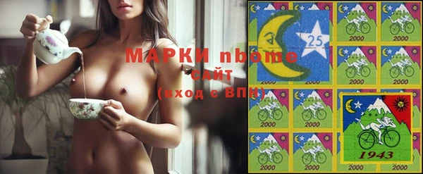 стаф Арсеньев