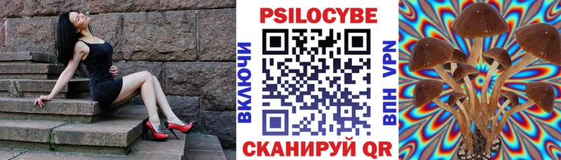 omg сайт  Темрюк  Галлюциногенные грибы Psilocybine cubensis 